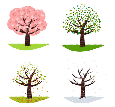 桜の四季