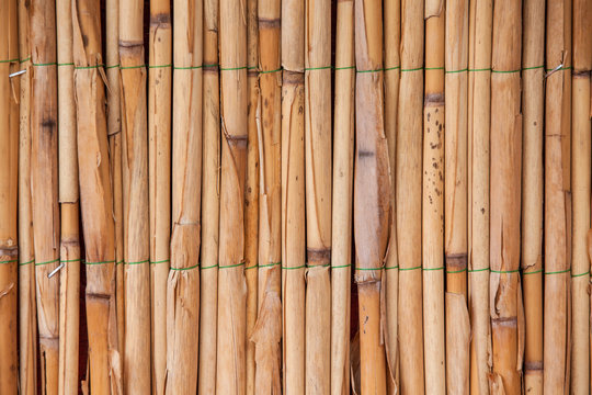 Japanese bamboo texture for background. Bamboo wall