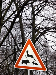 Wild aus dem Wald