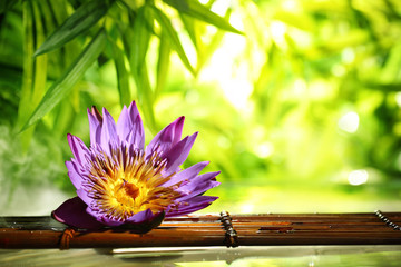 Spa still life with lotus float on water