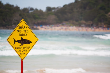 Shark Warning Sign