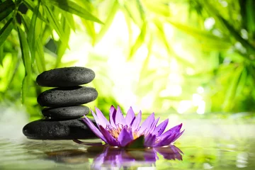 Spa nature morte avec lotus et pierre zen sur l& 39 eau