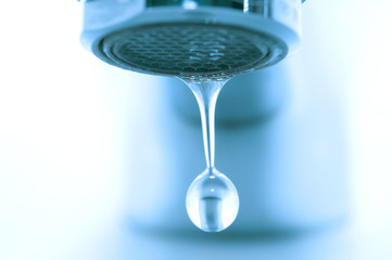 Water droplet macro