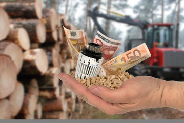 Thermostat und Geld mit Holzpellets in einer Hand