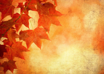 Fototapeta premium grunge background with autumn leaves