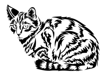 Cat in vector