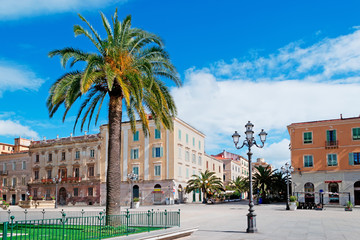 Piazza d'Italia and palm