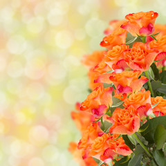 Fototapeta na wymiar bouquet of orange roses