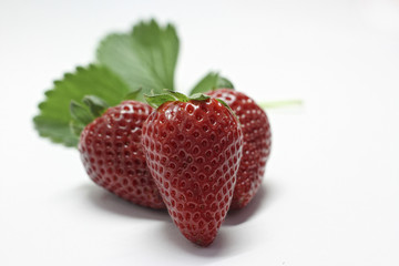 Fragola