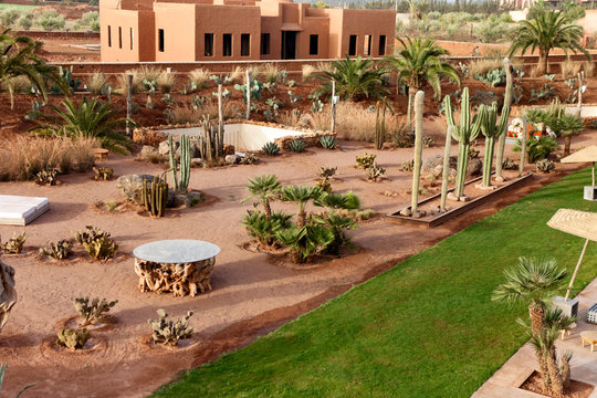 Oasis in morocco