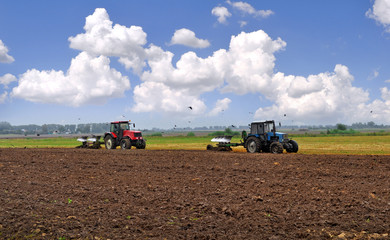 Fototapeta premium ploughing of the land