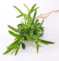 Fresh rosemary on white background