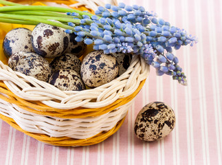 Quail eggs