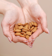 almonds in female hands