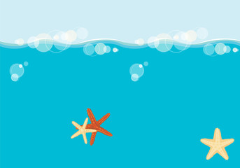Fototapeta na wymiar Starfish floating in the sea