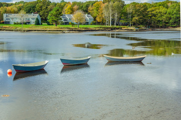 Rowing Boats on a River and Reflection in Water