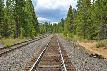 Fototapeta premium Railway Tracks Through a Forest and Cloudy Sky