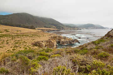 Coast of Big Sur with rocks and vegetation. California. USA.