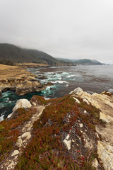 Coast of Big Sur with rocks and vegetation. California. USA.