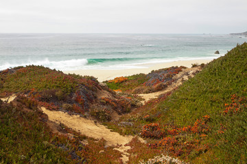 Coast of Big Sur with rocks and vegetation. California. USA.