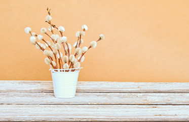 Rustic arrangement of pussy willows