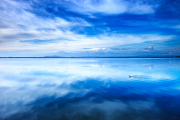 Sunset blue landscape. Bird in a lagoon. Argentario, Italy.