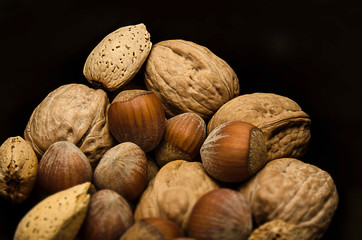 Various kinds of nuts