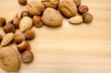 Various kinds of nuts