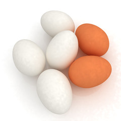 Chicken Eggs on White Background