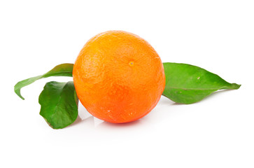 Fresh mandarin fruit with green leaves, isolated on white