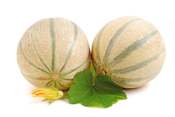 Melon
