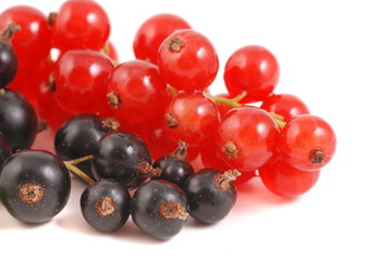 Johannisbeeren