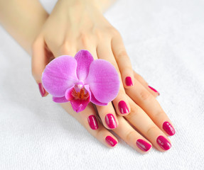 Beautiful hands with manicure and purple orchid flower