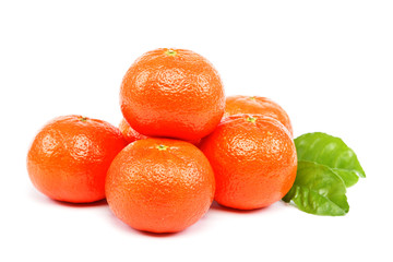 Fresh fruits mandarin oranges on a white background.