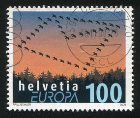 Envelope and Landscape