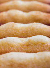 madeleins