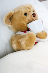 Teddy bear lying in bed and drink cup