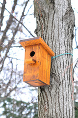 Bird house