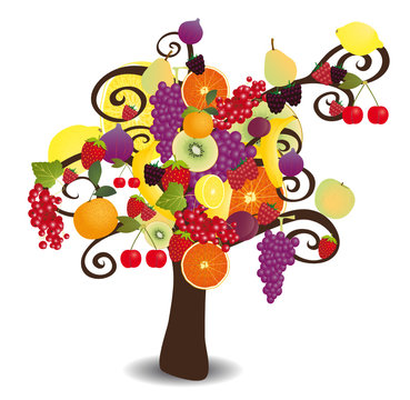 recommend clip art: Arbre Fruité