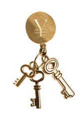 Keys of investiment with clipping path