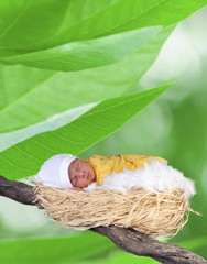 nascita © massimo maghenzani