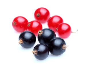 Rad and black currant