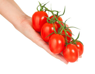 Red tomatoes