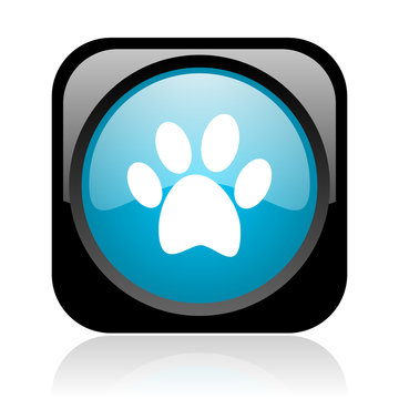 animal footprint black and blue square web glossy icon