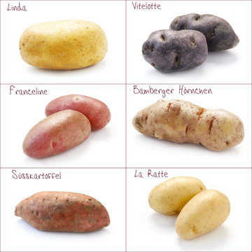 Collage Kartoffelsorten