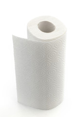 Paper towel roll