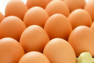 Eggs