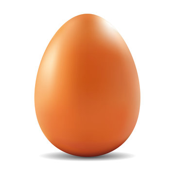 Brown Egg.eps