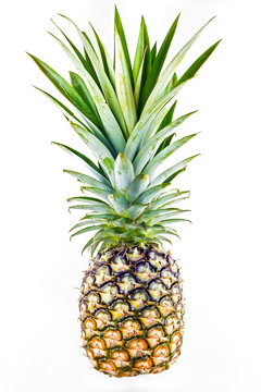 object on white - raw pineapple isolated
