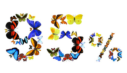 95 Prozent - Schmetterlinge